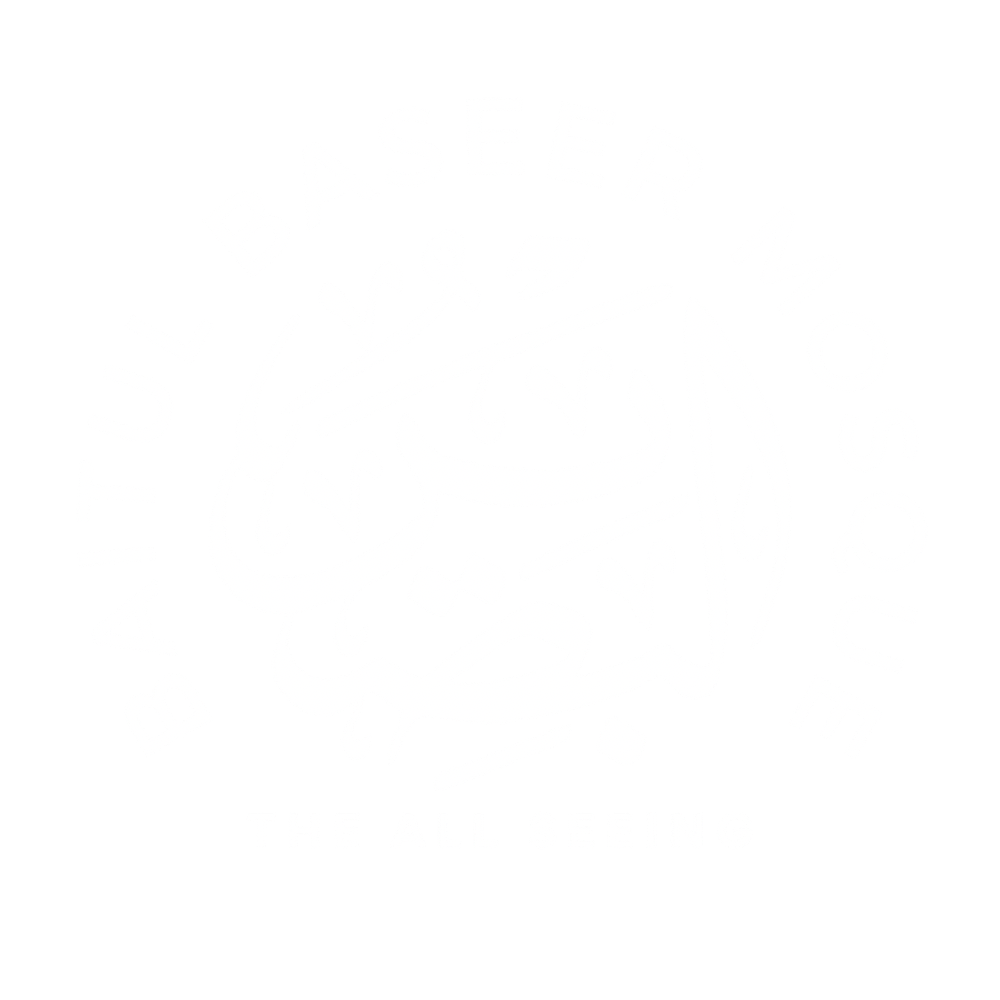 Baitul Baseer Mosque